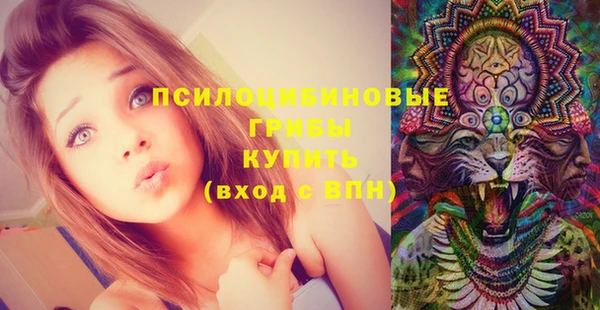 ГАЛЛЮЦИНОГЕННЫЕ ГРИБЫ Абинск