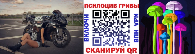 Псилоцибиновые грибы Psilocybine cubensis  как найти закладки  Ува 